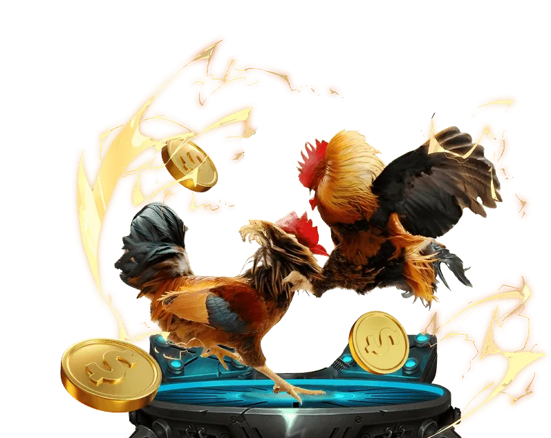 Giao diện cá cược thể thao TK88